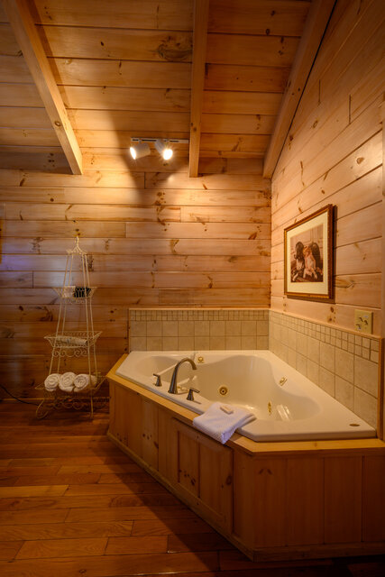 Image 10 for (Cabin 303) Alone at Last
