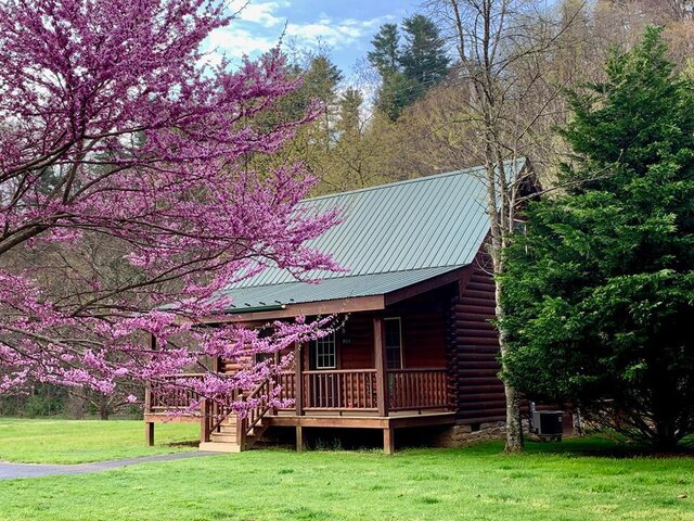 Image 1 for April Showers