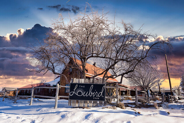 Winter at The Loubird