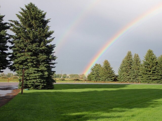 Image 1 for Stay Four Nights Get One Night Free