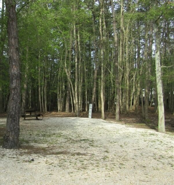 Wading Pines Camping Resort Chatsworth, New Jersey Check