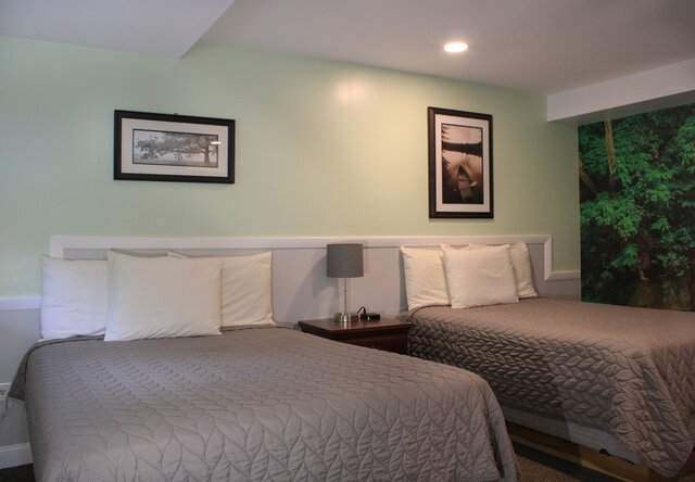 Image 2 for Dog Friendly 2 Full Rooms