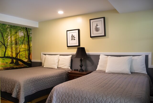 Image 1 for Dog Friendly 2 Full Rooms