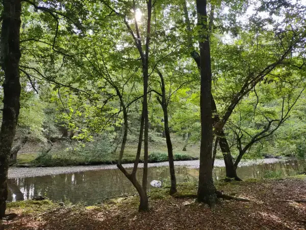 Image 4 for Sites 1-3