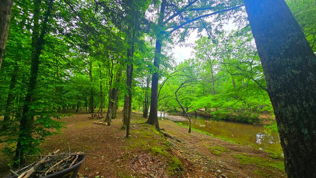 Image 4 for Sites 4-6