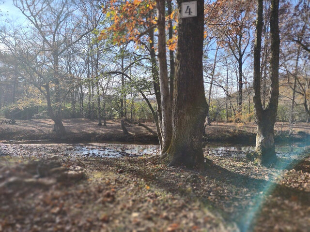 Image 8 for Sites 4-6