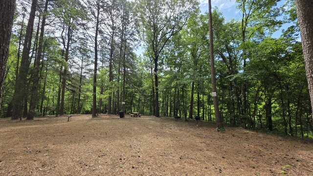 Image 1 for Site 12
