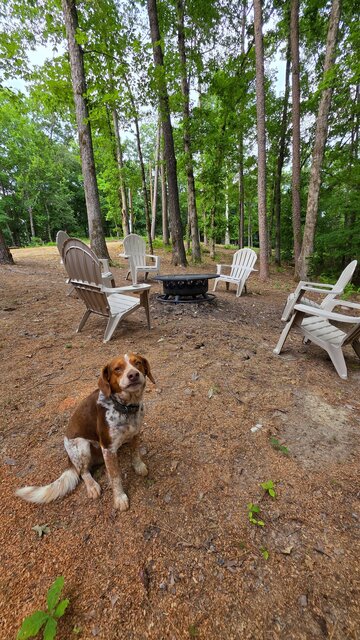 Image 13 for White Tail Cabin at Crystal Ridge WITH Bunkroom