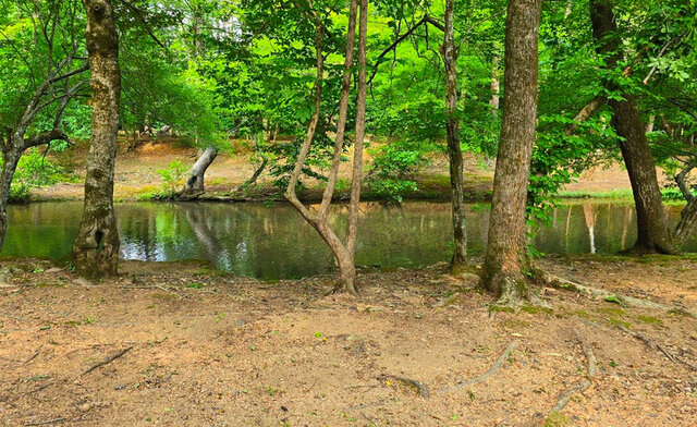 Image 9 for Sites 1-3
