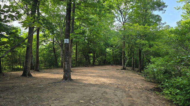 Image 8 for Sites 1-3