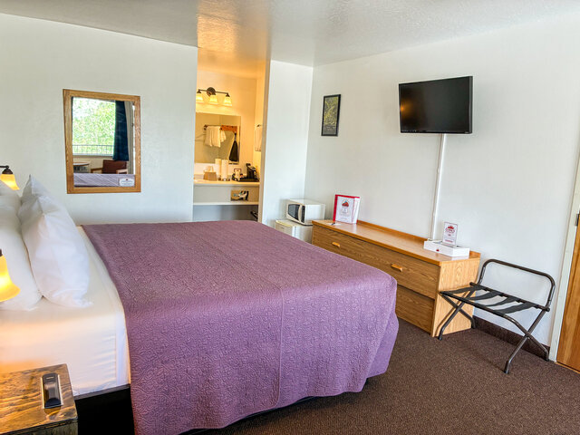 Image 3 for 206 Mountain Lake Room (1K)