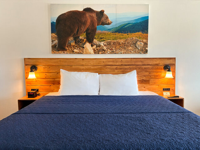 Image 2 for 215 Red Bear Room (1K)