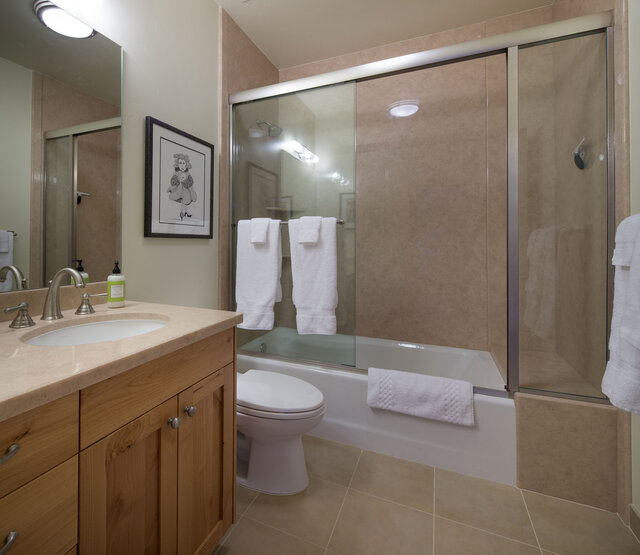 Image 8 for North Building Sawtooth City Suite