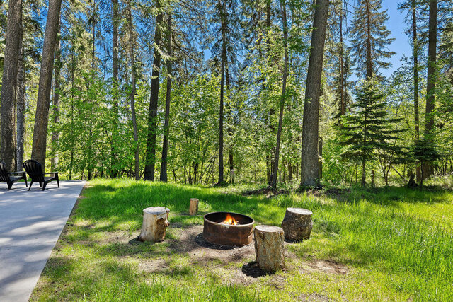 Image 20 for The Bitterroot