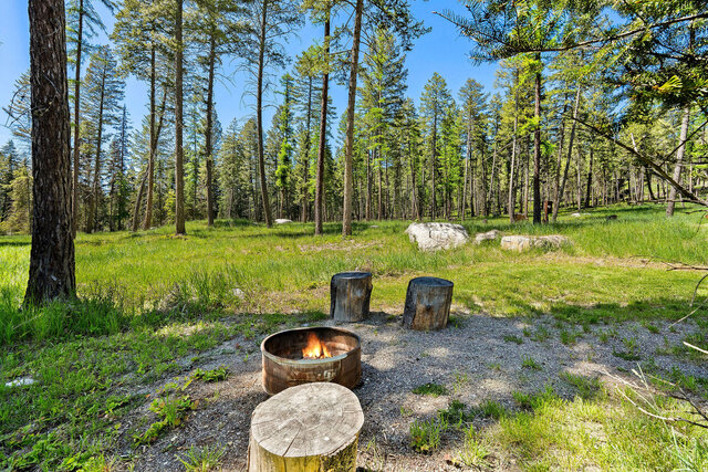 Image 18 for The Two Medicine