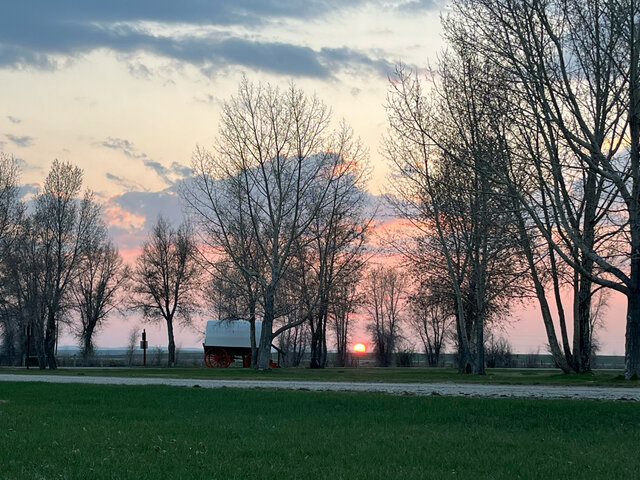 Image 2 for Sheep Wagon