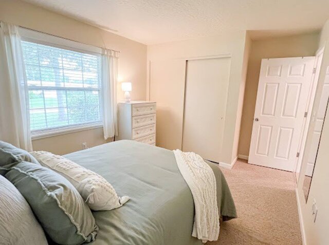Image 21 for Tranquility 2 bedroom home