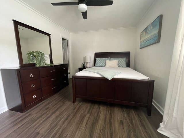 Image 19 for Palm Tree Cottage