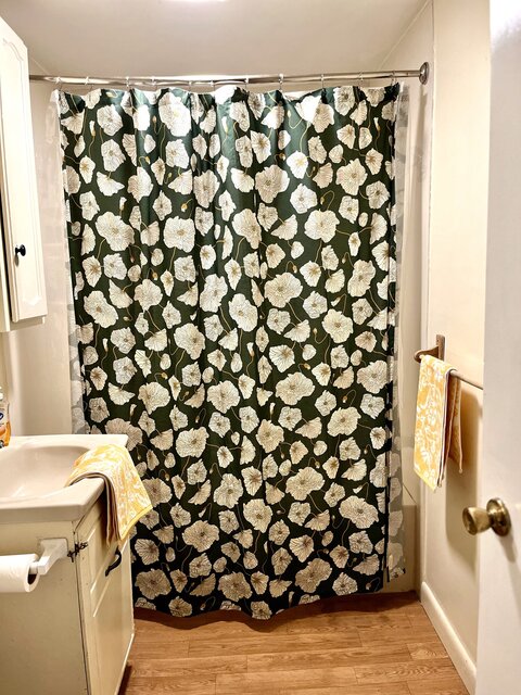 Image 9 for The Apartment