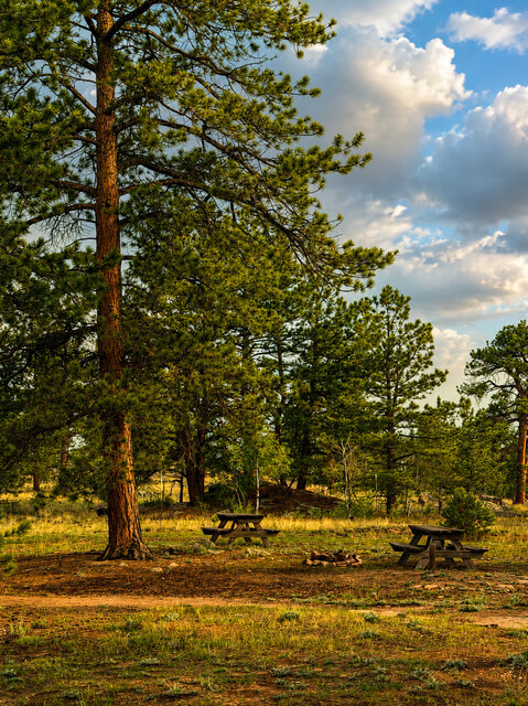 Image 1 for Primitive  camping day pass available
