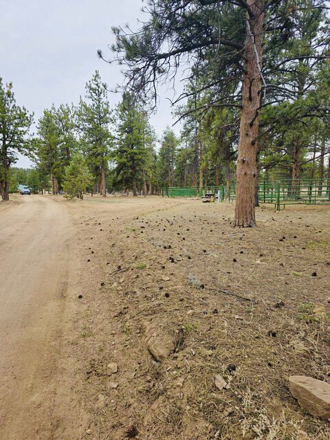 Image 2 for #13 RV site Full Hook -up   30x70