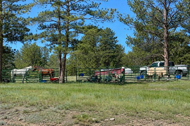 Image 3 for Primitive camping available day pass