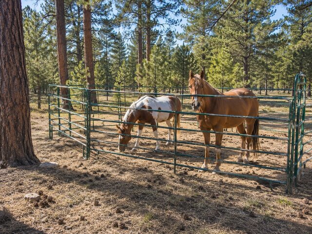 Image 4 for #6  RV or Horse site -  detached 56" rig