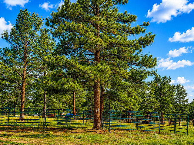 Image 2 for Tent Site  resort pass available