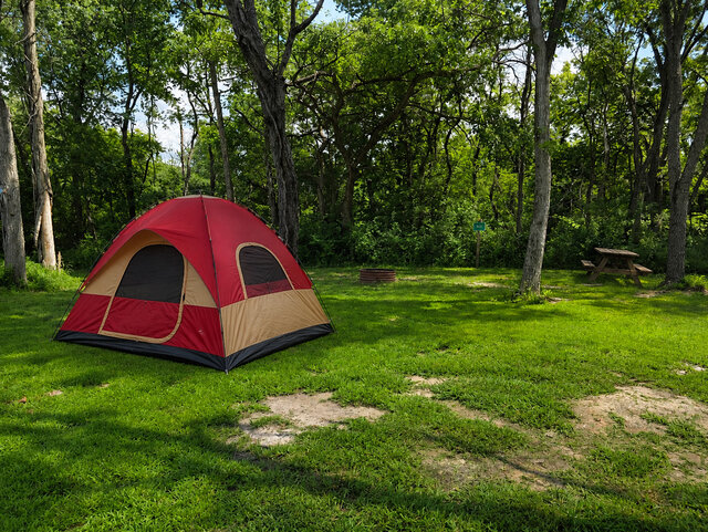 Image 1 for 501) Outback Primitive 501