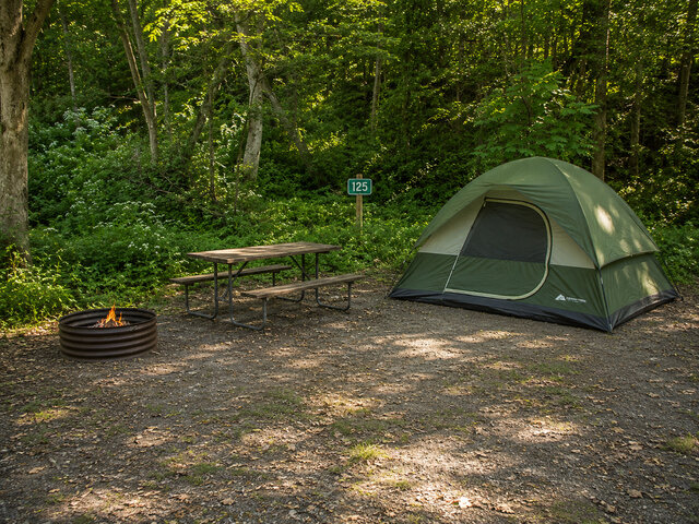 Image 1 for 125) Creekside Primitive Walk-in 125