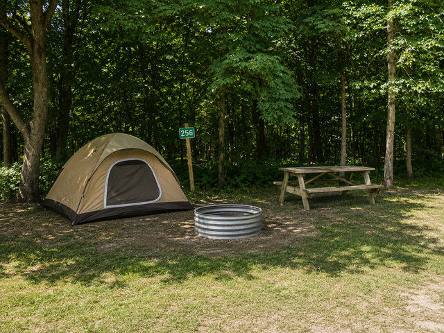 Image 1 for 256) Highlands Primitive 256