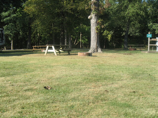 Image 2 for 243) Highlands Water/Electric 243