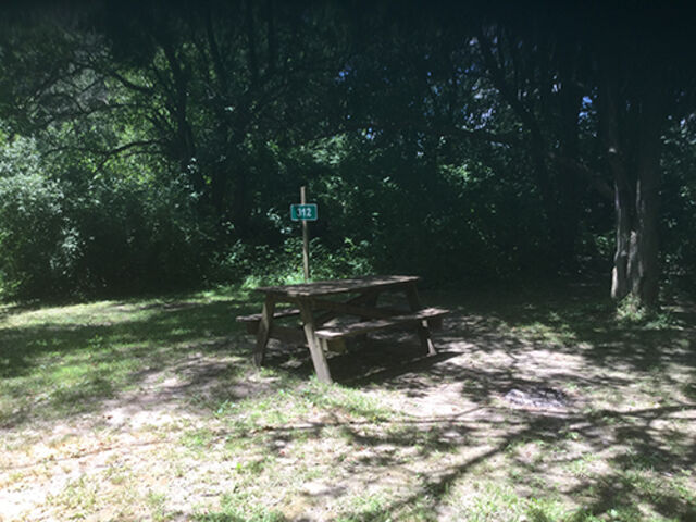 Image 1 for 312) Glades Primitive 312