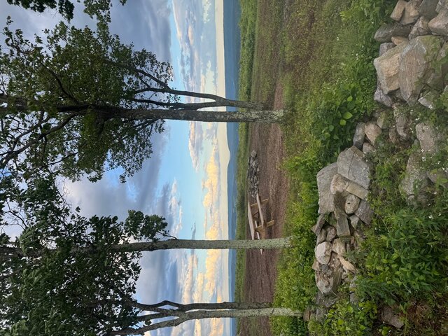 Image 3 for 100 Mile View Site 86