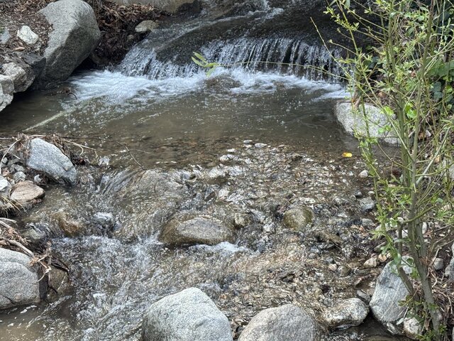 Image 17 for Studio Retreat @ Arrowhead Springs Nature Preserve