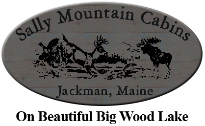 Sally Mountain Cabins