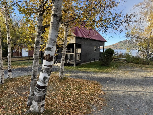 Image 4 for Big Wood