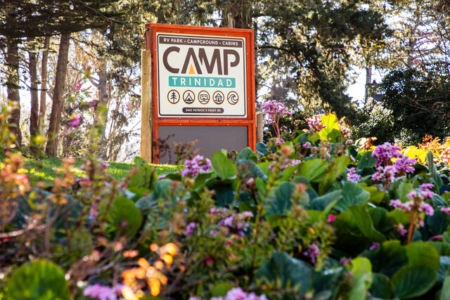 Image 3 for #53 Horizon Ocean View RV Site