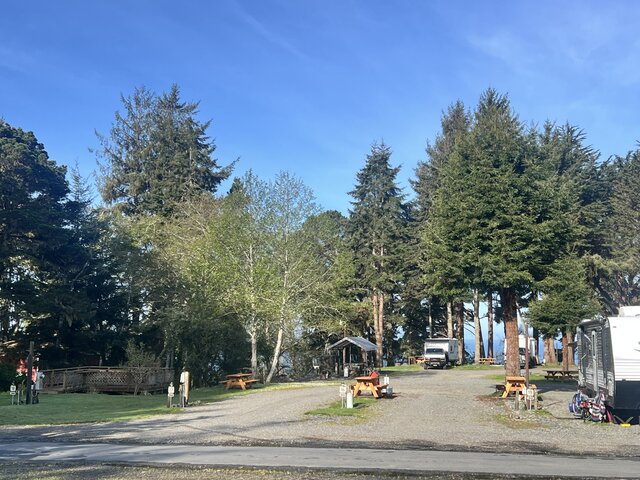 Image 3 for #16 Pull Through RV Site