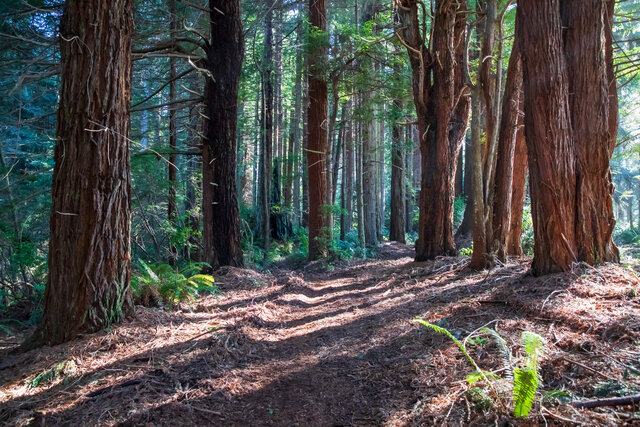 Image 18 for #53 Horizon Ocean View RV Site