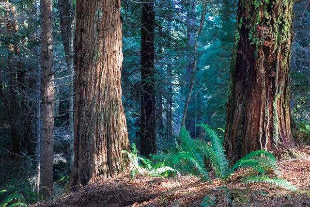 Image 18 for #52 Horizon Ocean View RV Site