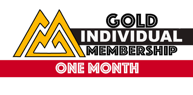 Image 1 for Gold Individual One Month Membership
