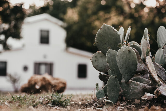 Image 6 for Both Lodges