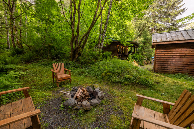 Image 15 for Dream Weaver at Mt Rainier