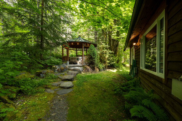 Image 12 for Dream Weaver at Mt Rainier