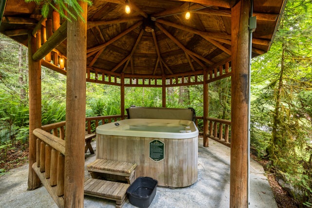 Image 13 for Dream Weaver at Mt Rainier