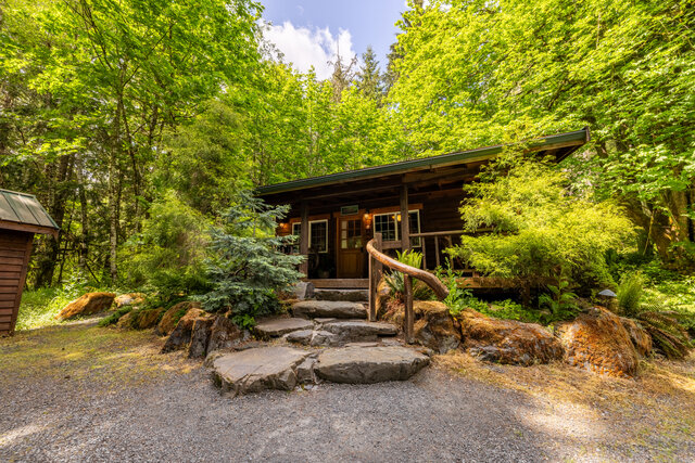 Image 1 for Dream Weaver at Mt Rainier