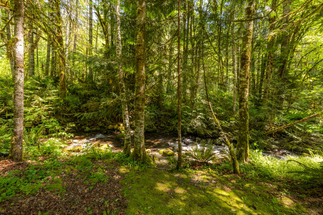 Image 11 for Copper Creekside Cabin