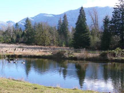 Image 24 for Cedar Springs