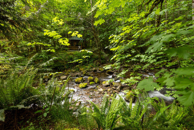 Image 9 for Art Studio Cabin